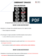 DNA Mutation