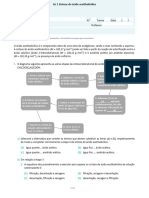 Teste Formativo Sobre AL 1-11Q