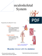 Musculoskeletal System GenBio2