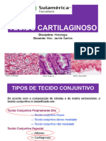 Tecido Cartilaginoso