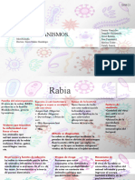 Microorganism Os