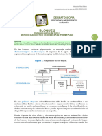 DERMATOSCOPIA SAMFyC (Bloque 2 Tema 3)