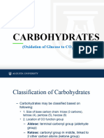 Carbohydrate 1