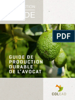 Colead Production Guide Avocat Frultralight
