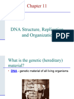 Biology Chapter 11