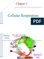 BiologyChapter 5 - Cellular Respiration-2021