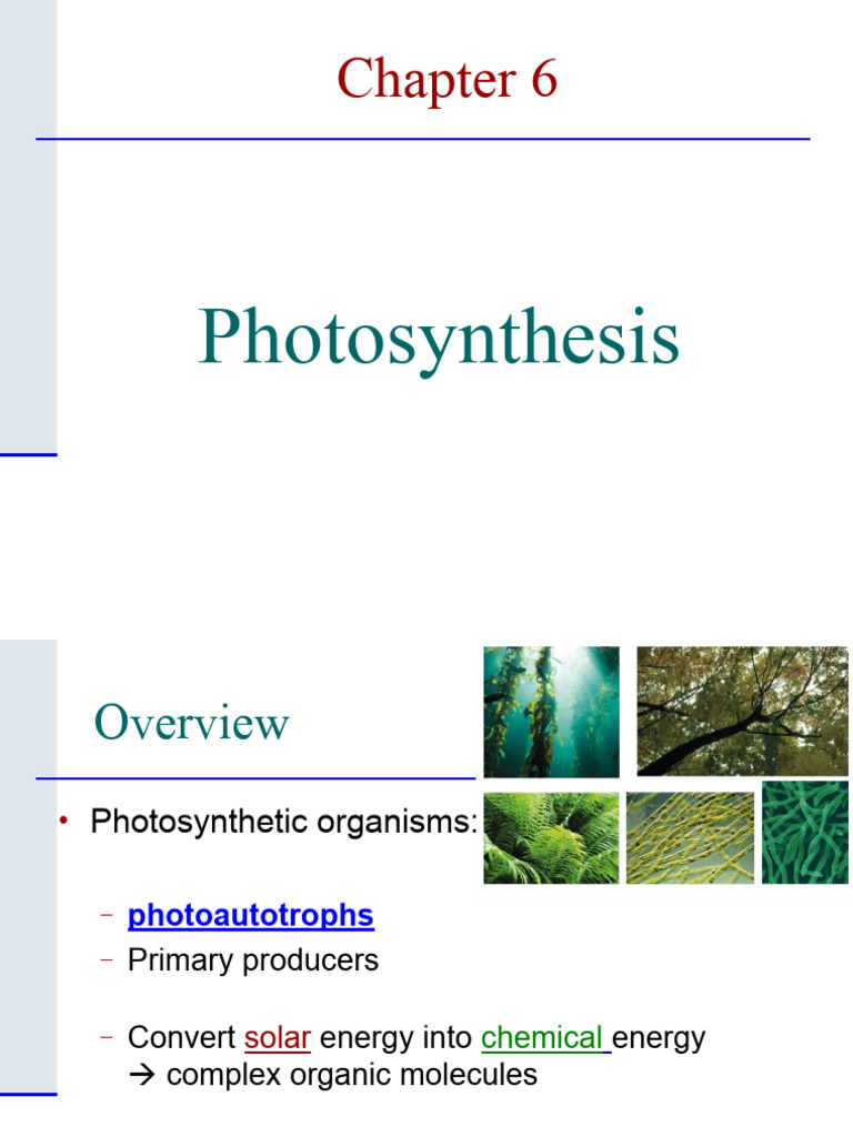 BiologyChapter 6 - Photosynthesis-2021 | PDF | Photosynthesis | Chlorophyll