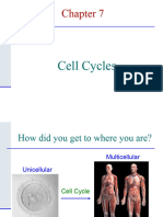 BiologyChapter 7 - Cell Cycles-2021