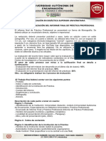 Guía para La Realización Del Informe Final de Práctica Profesional