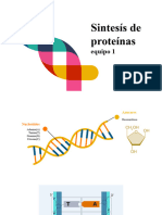 Sintesis de Proteinas