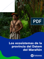 Los Ecosistemas de La Provincia Del Datem Del Maranon