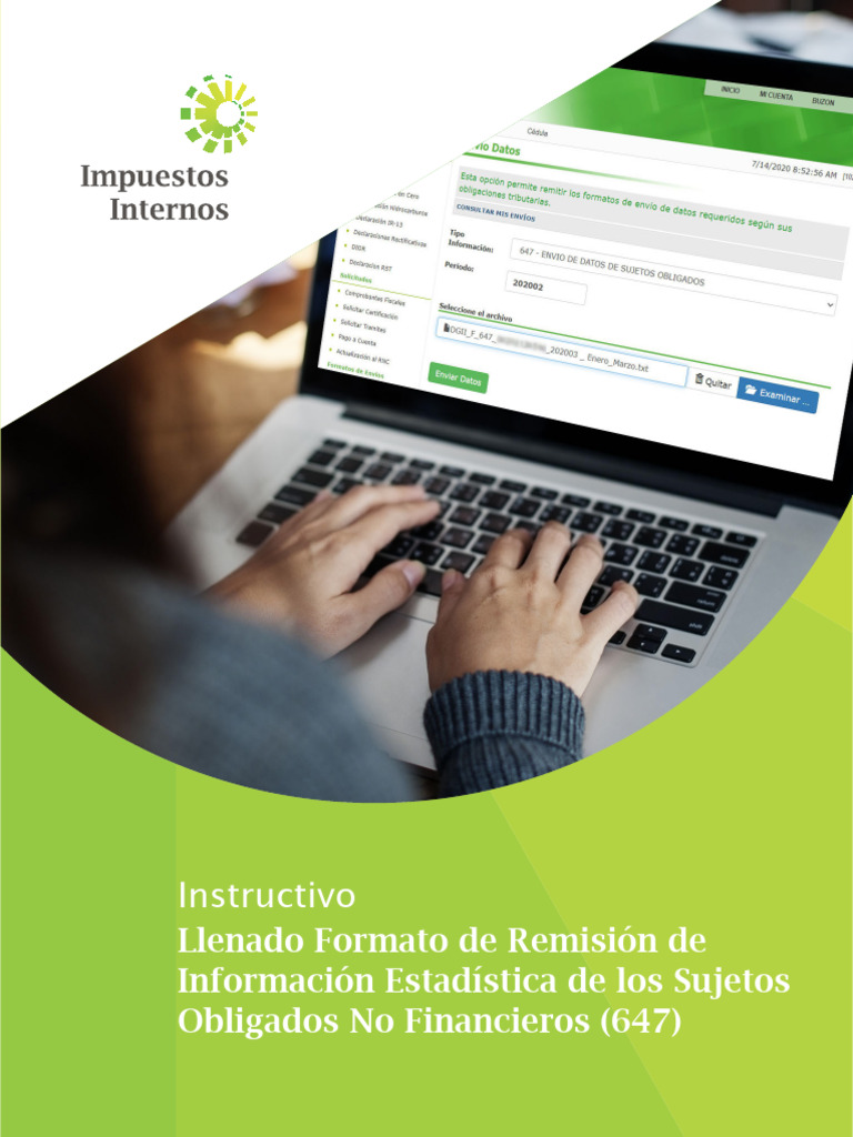 Instructivo Formato 647 para Envío de Datos | PDF | Archivo de ...