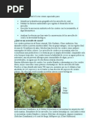 Download Arresifes de Coral by Any Jimnez SN71122892 doc pdf