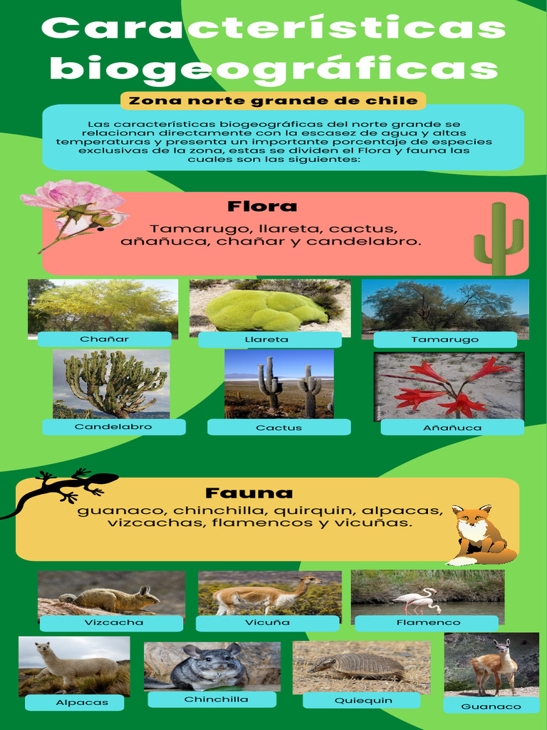 Flora y fauna del norte grande de Chile | PDF | Hogar, jardinería y ...