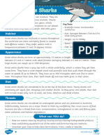 Great White Sharks Differentiated Comprehension - Ver - 1