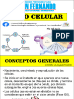 Ciclo Celular - San Fernando