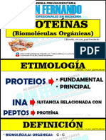 Proteínas - San Fernando