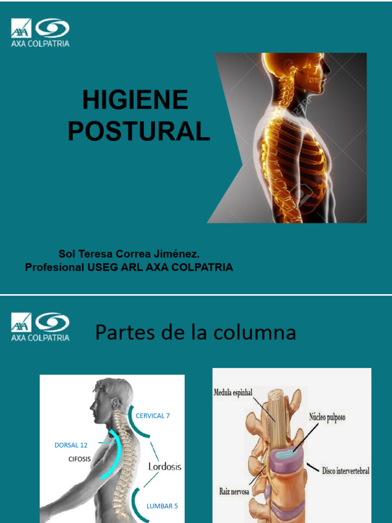 Guía de Higiene Postural Esencial | PDF | Dolor lumbar