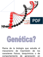 Introduccion A La Genetica