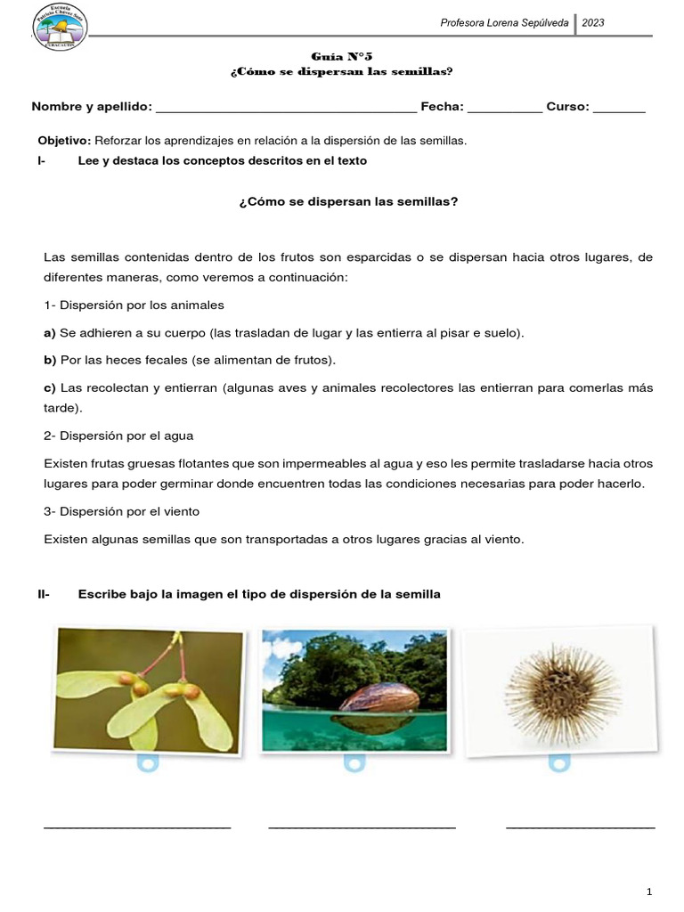 Guía N°5 Dispersión de Las Semillas | PDF | Semilla | Flores, image size:768x1024