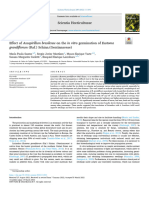 Evaluation of Native Plant Growth-Promoting Rhizobacteria in Handroanthus Impetiginosus Micropropagation