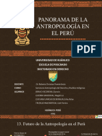 Panorama de La Antropología en El Perú