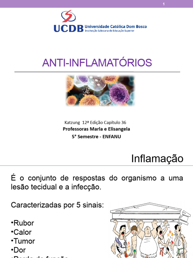 Aula 10 Anti Inflamatorios | PDF | Anti-inflamatório não esteroide ...