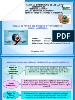 Diapositivas - Willmary - Silva - Reglas de Fondo Del Derecho Internacional