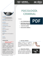 Psicologia Criminal - Trabajo Final