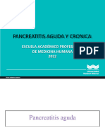 Pancreatitis Wiener 2022