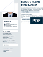 Curriculum Vitae Rodolfo