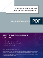 New Pertumbuhan Sel Dalam Kultur in Vitro Hewan