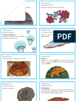 Eras Geologicas