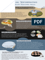 Infografia Poscosecha - 30167 - 14