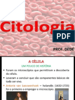 Citoplasma Citologia