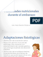 Necesidades Nutricionales Durante El Embarazo y Lactancia