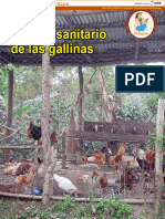 Manejo Sanitario de Las Gallinas