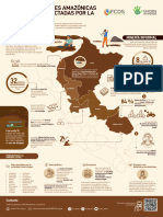 Infografia Minería Ilegal