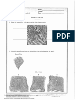 Fingerprint Assessment WKST PDF