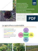 Tesis Sobre Suelos en Transición Agroecológica