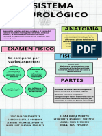 Sistema Inmunologico