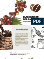 Elaboración Del Café