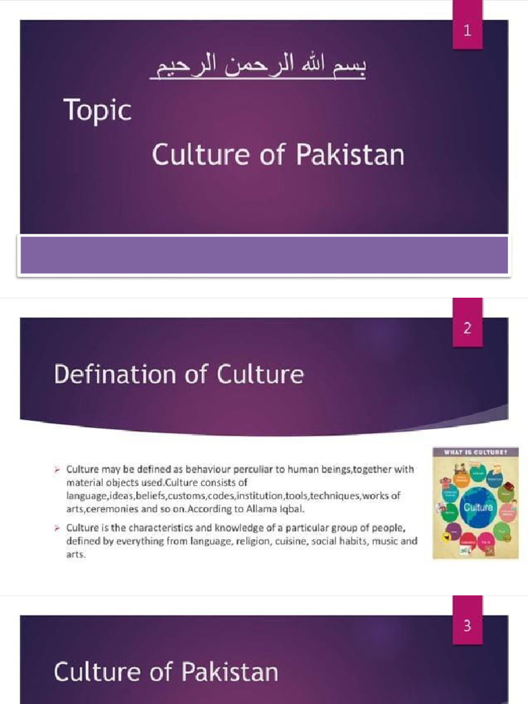 Culture of Pakistan 56947353 - 2 | PDF