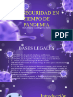 Bioseguridad Pamela
