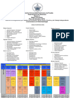 Lesiones Elementales