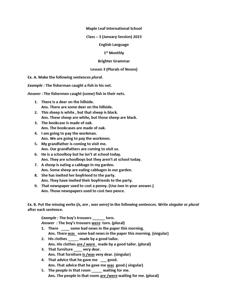 Grade 3 English Grammar Exercises | PDF | Plural | Grammatical Number