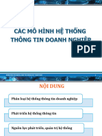 3 - Cac Mo Hinh He Thong Thong Tin