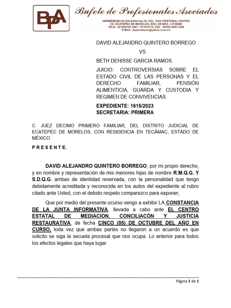 Presentacion de La Constancia de La Junta Informativa | PDF | Gobierno ...