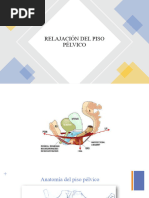 Clasificacion Popq | PDF | Vagina | Medicina CLINICA