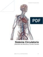 Manual Sistema Circulatorio-1